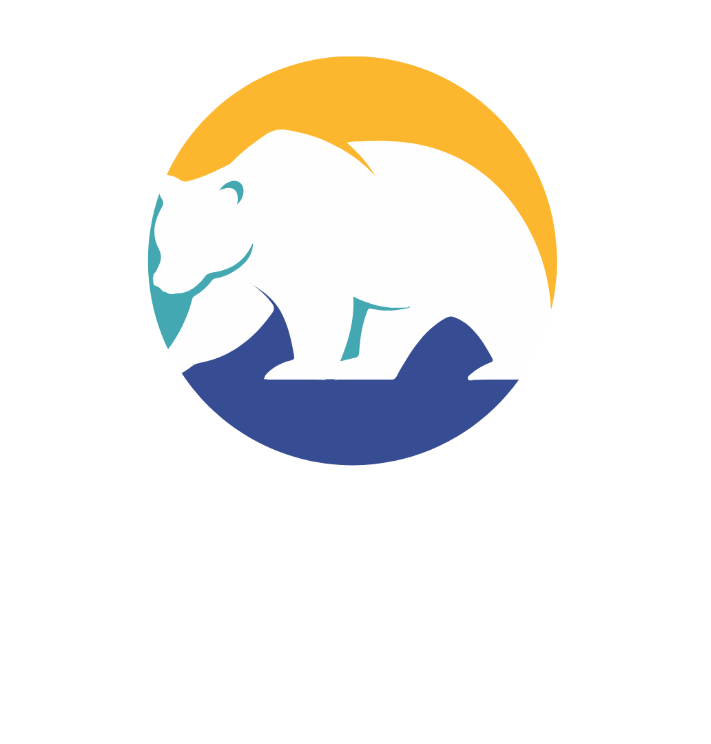 OG Serviços e Consultoria